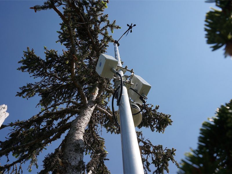 Holfuy Wetterstation Startplatz Schauinsland Holfuy Wetterstation Startplatz Schauinsland