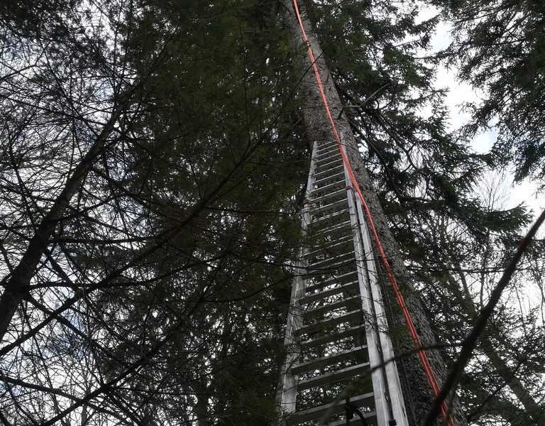 Wetterstation wieder in Stand gesetzt Wetterstation wieder in Stand gesetzt