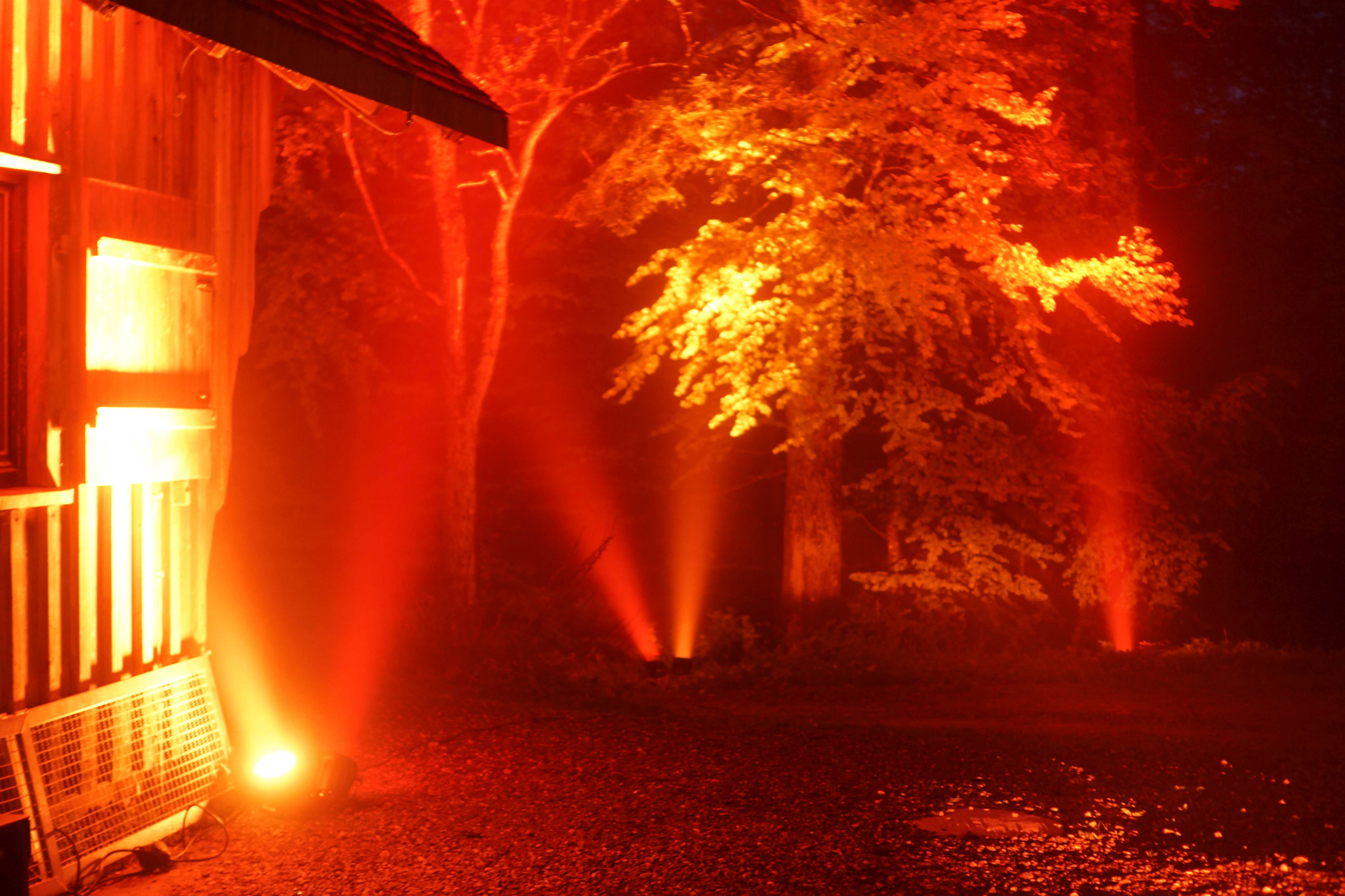 Lights in the wood