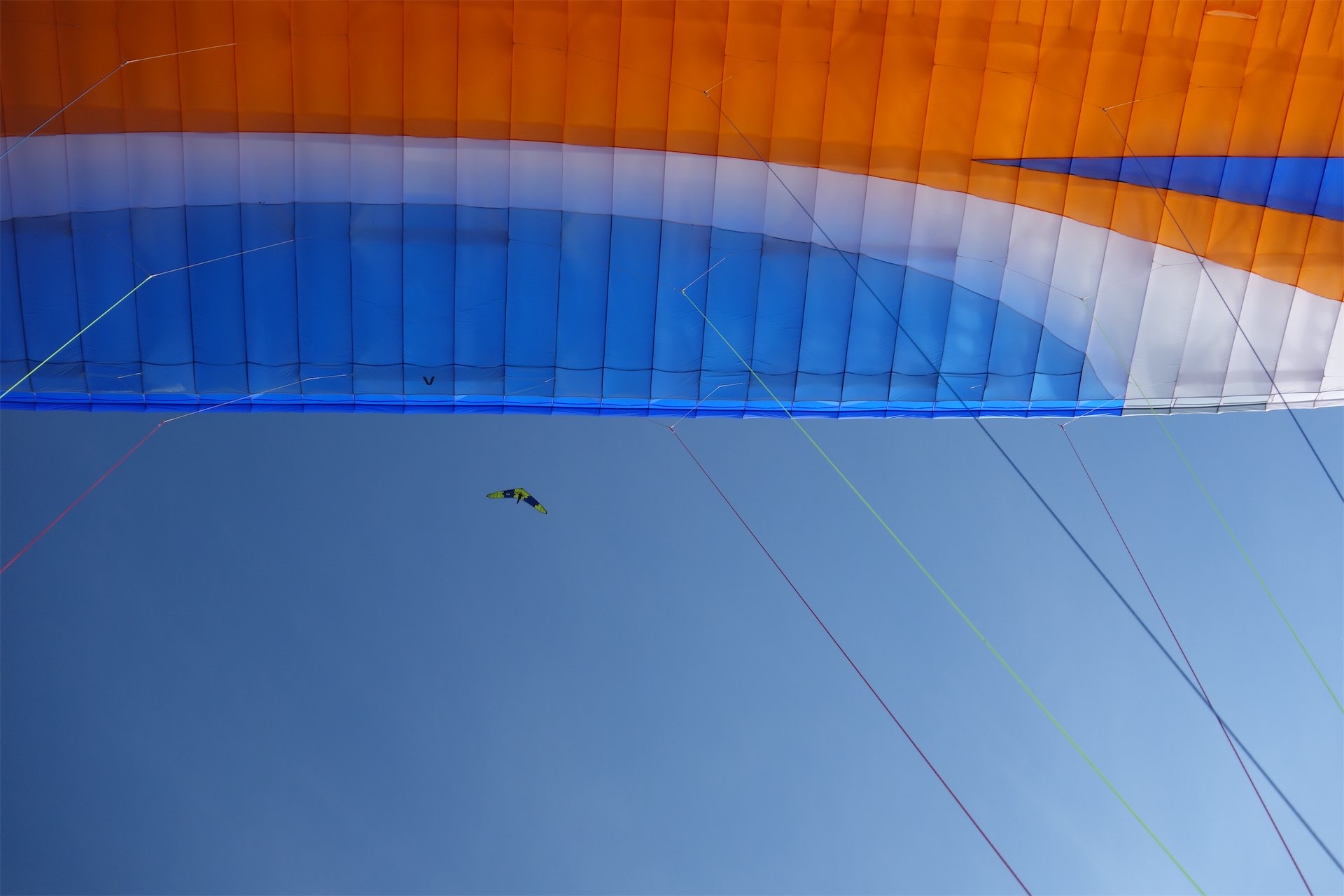 In Einem Jahr Vom B Schein Zum 100km Fai Gsc Colibri Freiburg E V