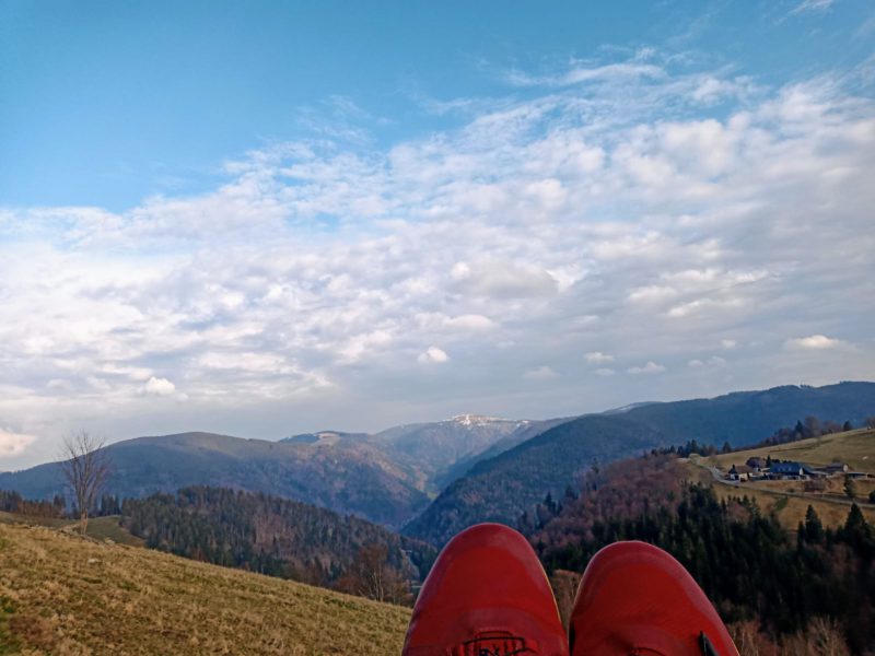 Update: Lageeinschätzung Update: Lageeinschätzung