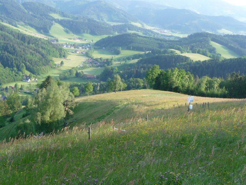 Eingeschränkter Flugbetrieb am Lindenberg Eingeschränkter Flugbetrieb am Lindenberg
